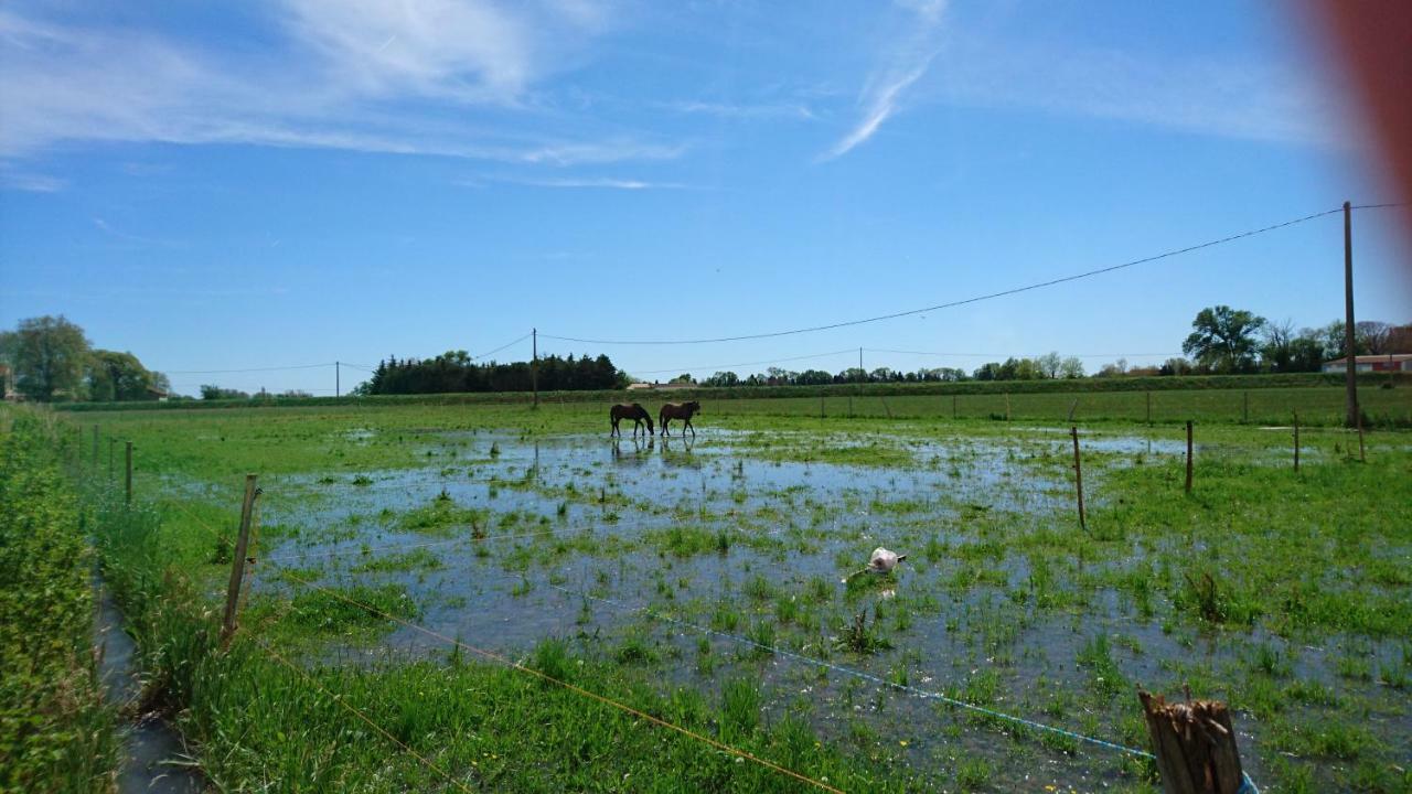 Raphèle Les Prairies Mas Rouxゲストハウス エクステリア 写真